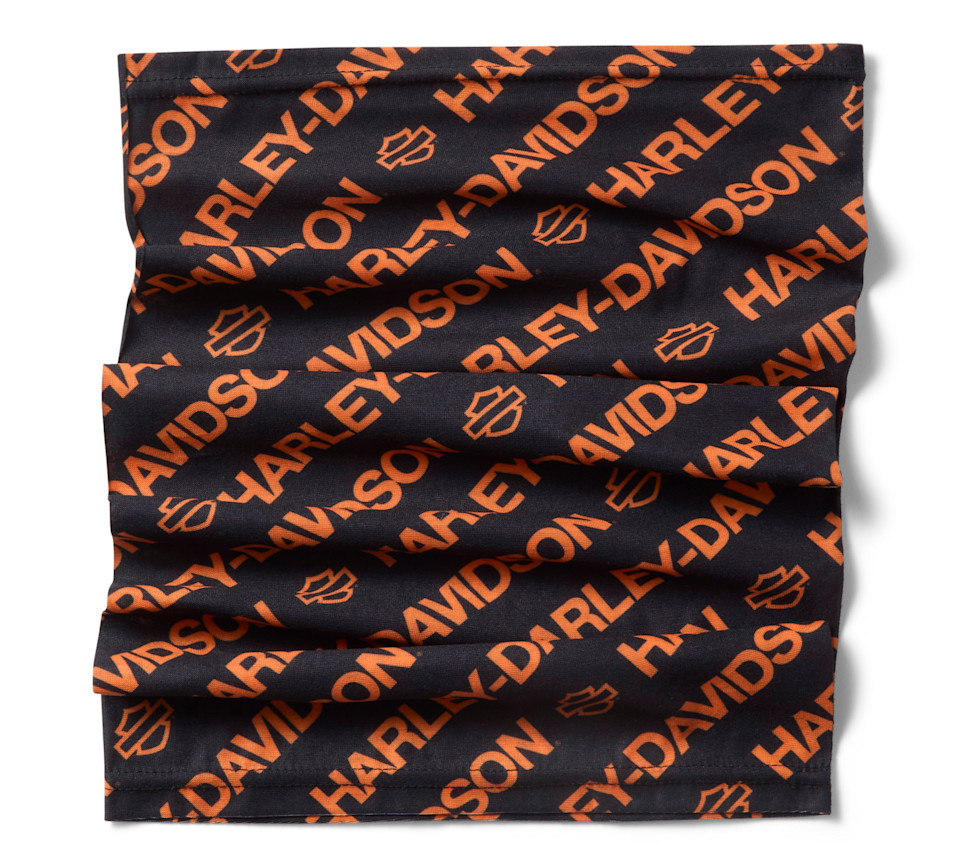 Harley-Davidson buff