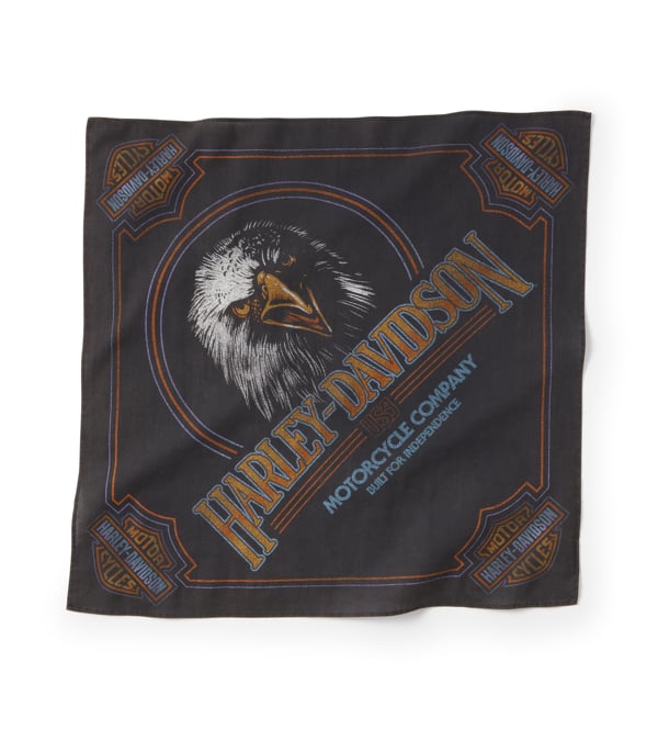 Harley-Davidson buff