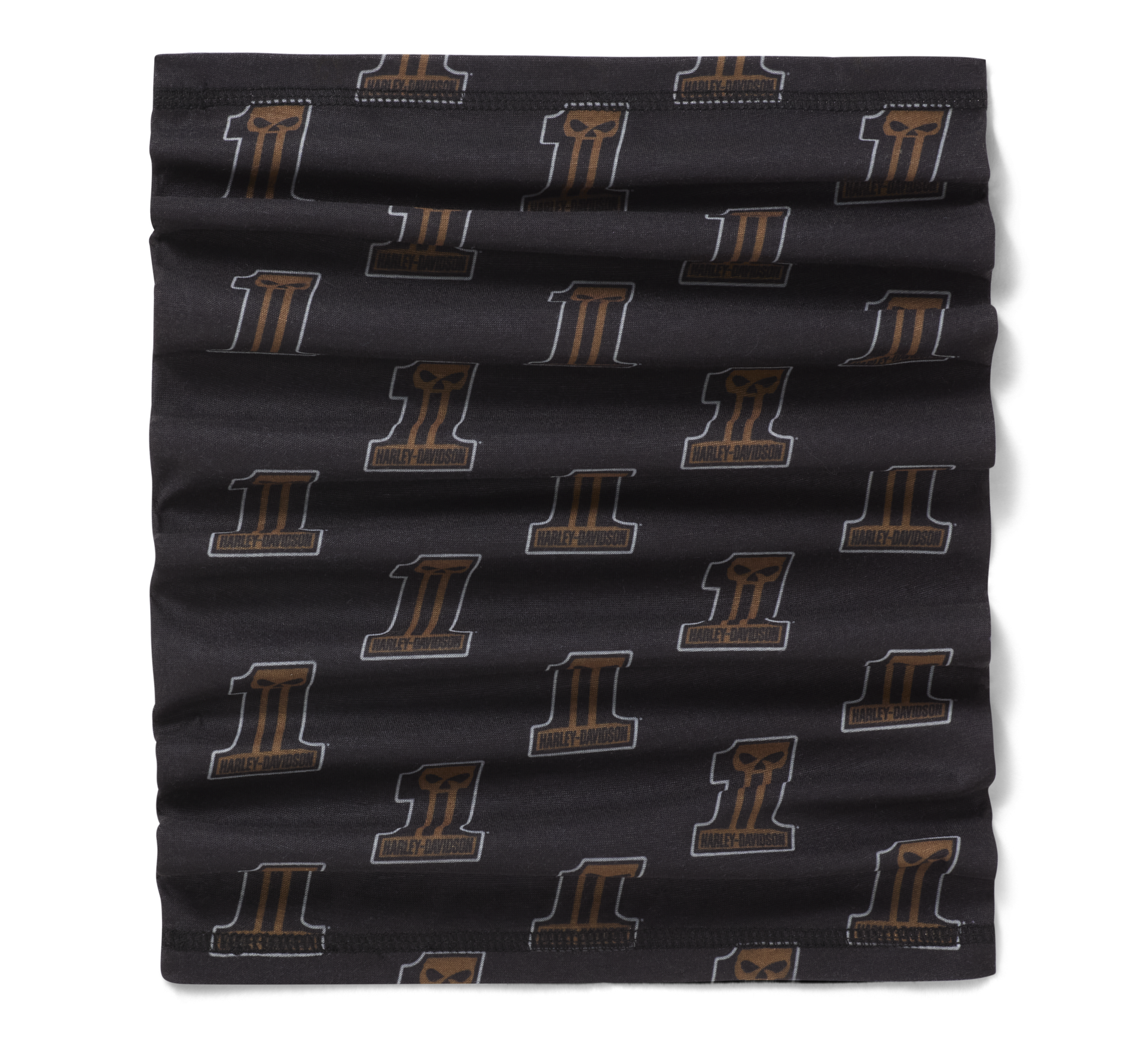 Harley-Davidson buff