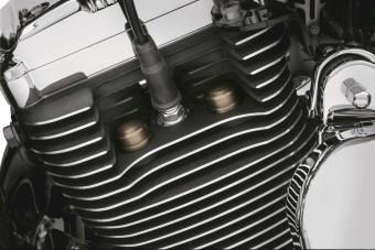 Harley-Davidson front axle nut covers