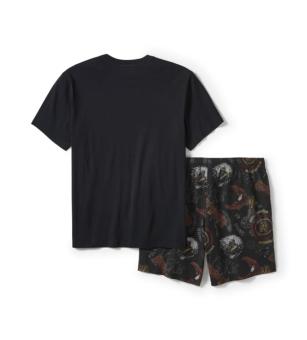 Harley-Davidson shirt