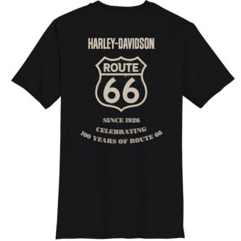 Harley-Davidson shirt