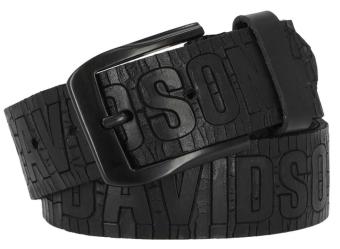 Harley-Davidson® Riem