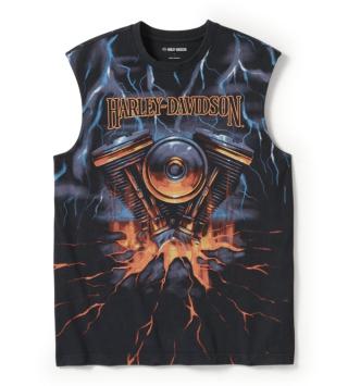 Harley-Davidson shirt