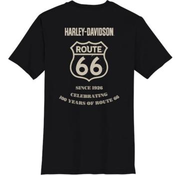 Harley-Davidson shirt